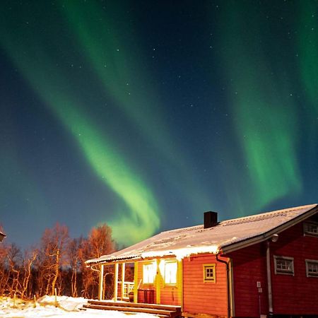Trivelig Hytte I Senja. المظهر الخارجي الصورة