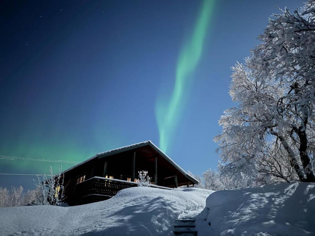 Trivelig Hytte I Senja. المظهر الخارجي الصورة