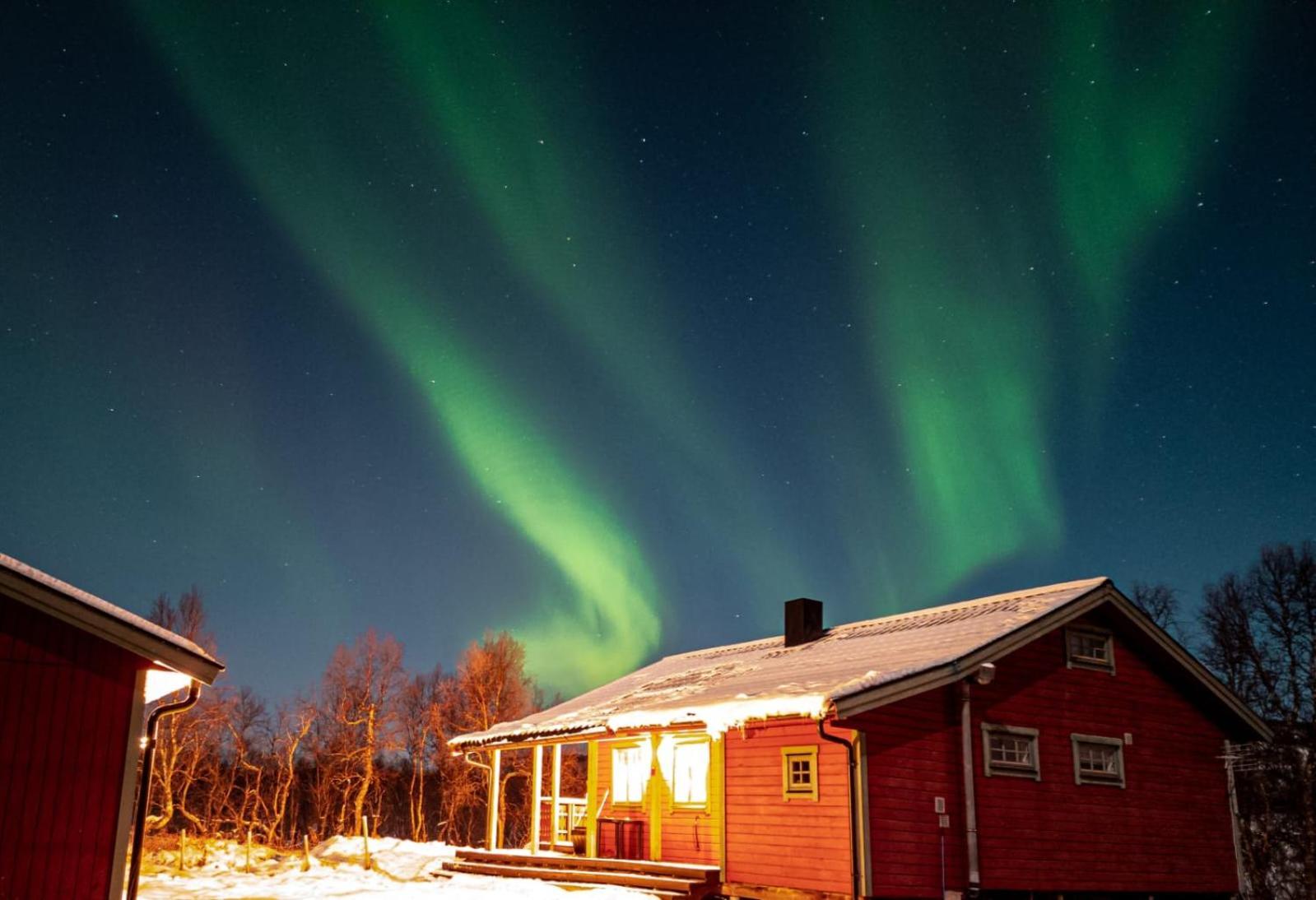 Trivelig Hytte I Senja. المظهر الخارجي الصورة