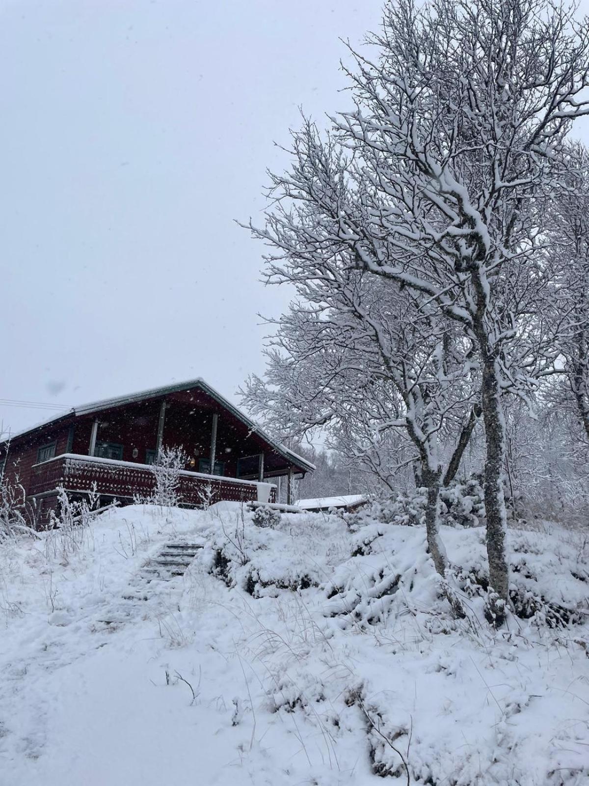 Trivelig Hytte I Senja. المظهر الخارجي الصورة